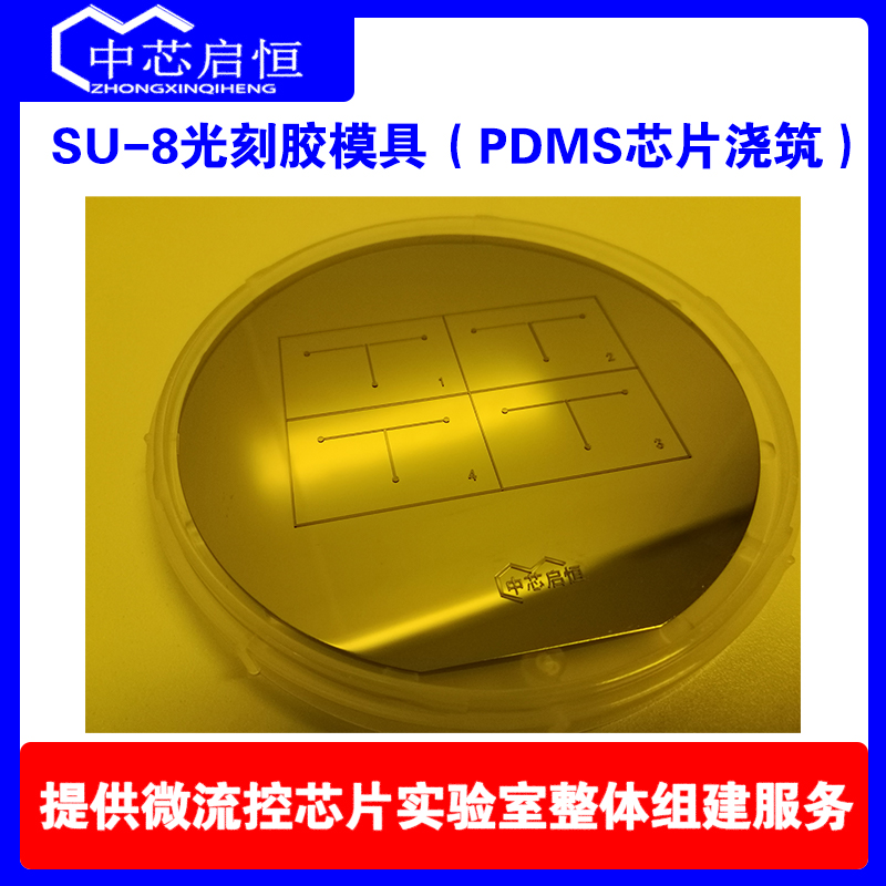 1.1 SU-8光刻胶模具PDMS芯片浇筑.jpg